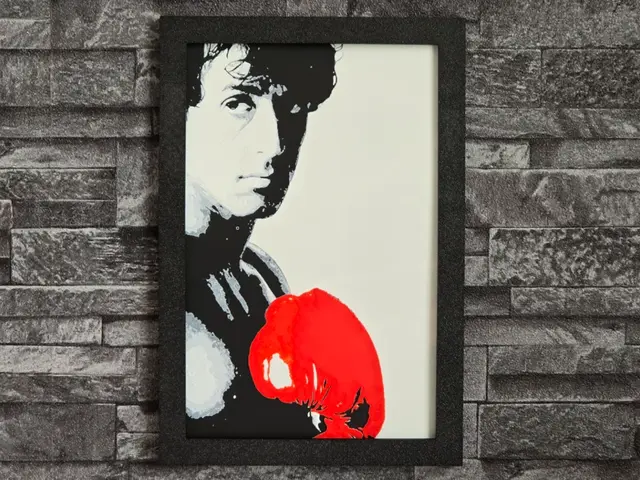 HueForge model: Hueforge Rocky Balboa by StefBull85