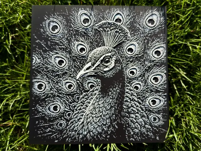 HueForge model: Peacock Wildlife Series by novy