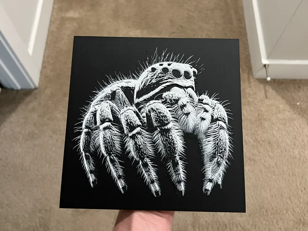 Jumping Spider Art Hueforge by RP47 Designs HueForge model: Jumping Spider Art Hueforge by RP47 Designs