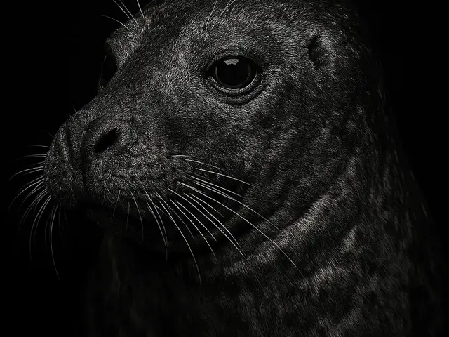 HueForge model: Hueforge Seal by cterry2000