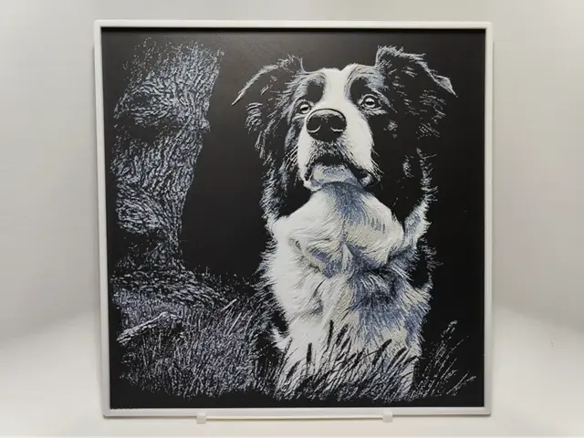 HueForge model: Border Collie - Hueforge by BeaN