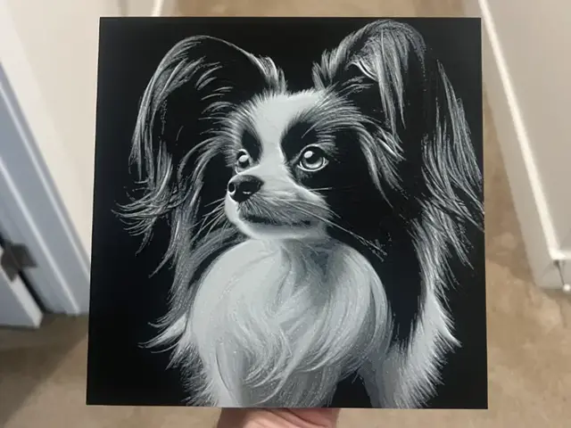 HueForge model: Papillon Dog Hueforge by RP47 Designs