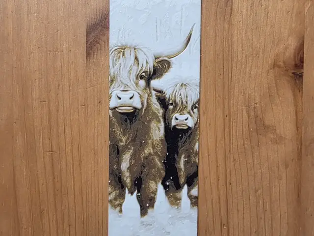HueForge model: Highlands Cow Bookmark by Morganja