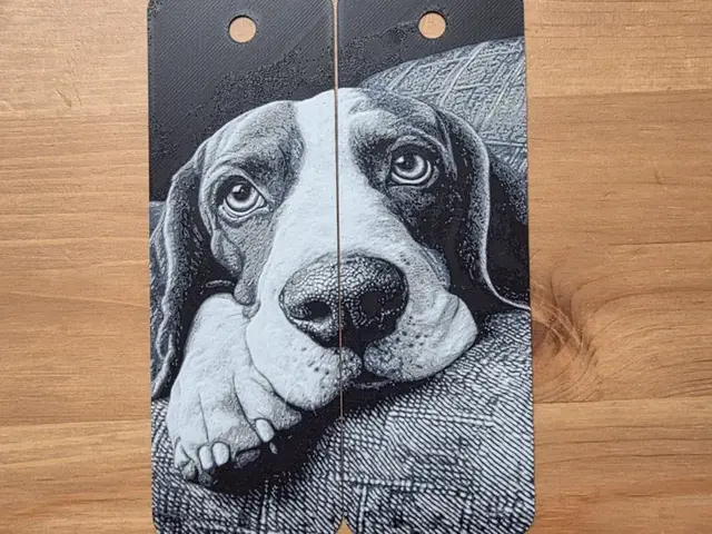 HueForge model: x2 Dog Bookmark by Morganja