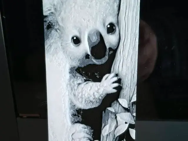 HueForge model: Black and white koala Bookmark - 2 colours by 3dGlow