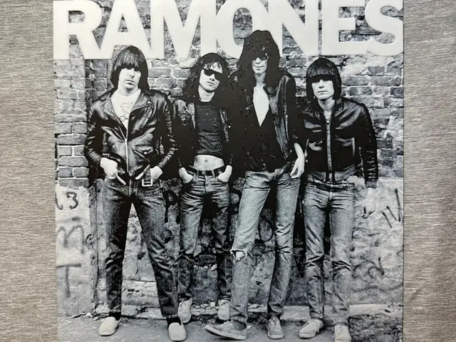 HueForge model: Ramones Album Cover Hueforge by Hey Ben