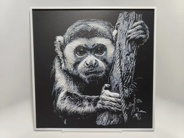 HueForge model: Capuchin monkey - Hueforge by BeaN