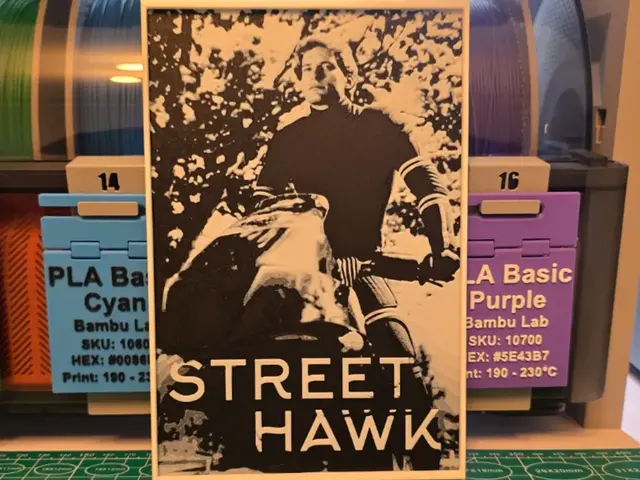 Street Hawk Poster - Hueforge Art