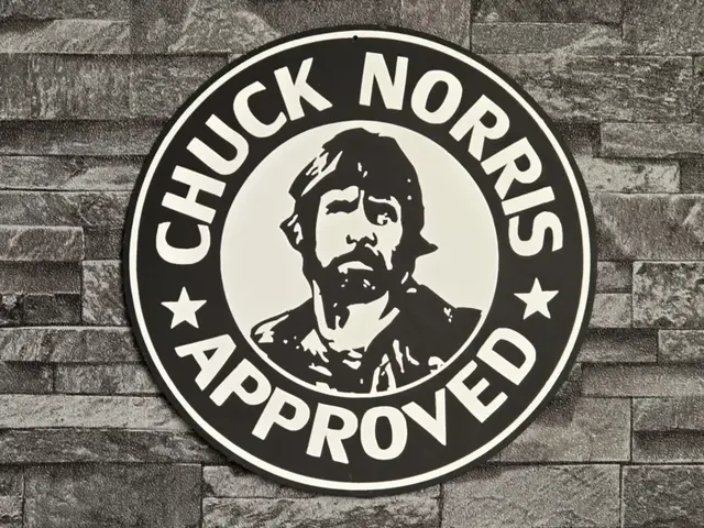 HueForge model: Hueforge Chuck Norris Approved by StefBull85