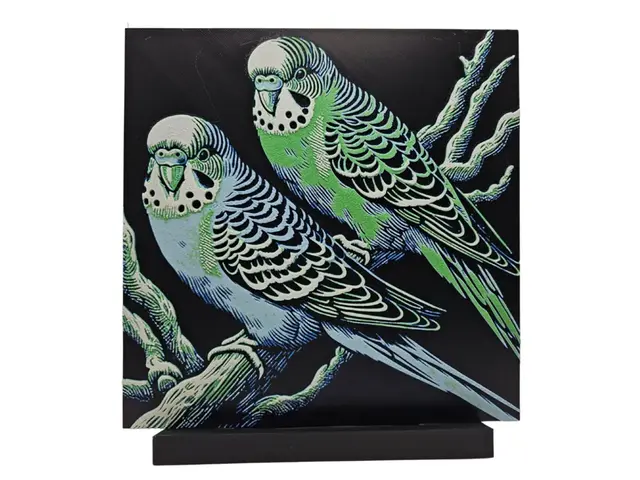 HueForge model: Budgie Duo by BusyKikiBee