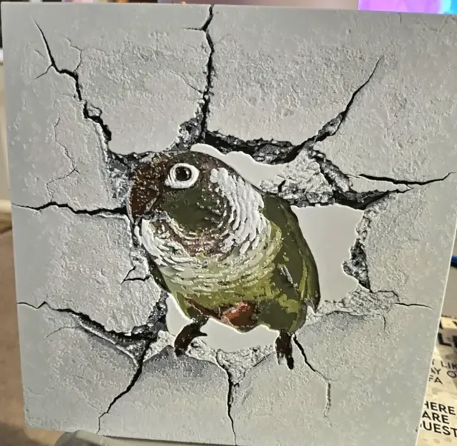 HueForge model: Green Cheek Conure - wall smash - Hueforge by 3dGlow