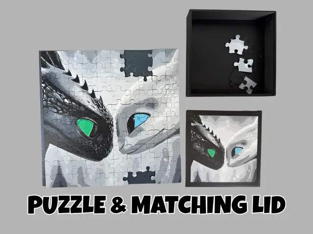 HueForge model: Toothless and Light Fury - Puzzle and Matching Lid by Canadian Gamer
