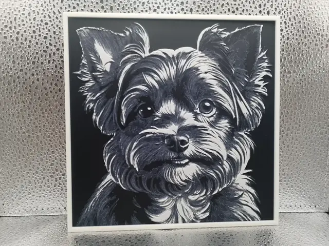 HueForge model: Yorkiepoo – Hueforge by Borishotch Industries