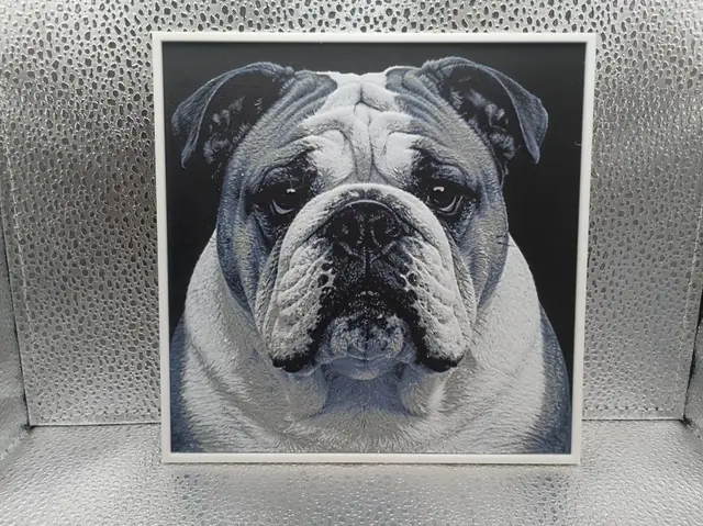HueForge model: English Bulldog - Hueforge by Borishotch Industries