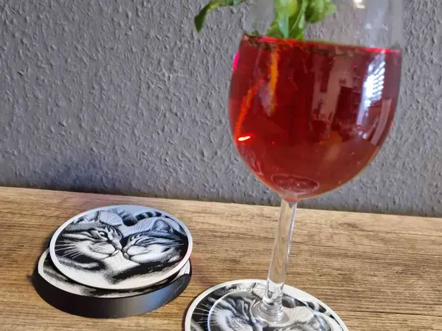 Cat Love Coaster