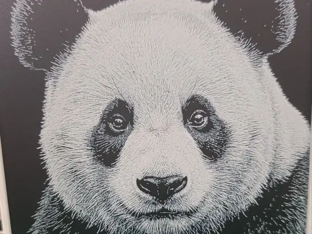 Panda - HueForge