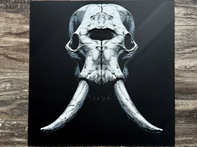 HueForge model: Elephant Skull Series by novy