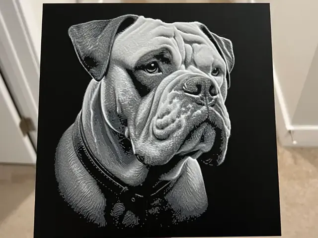 HueForge model: American Bulldog Hueforge Art by RP47 Designs