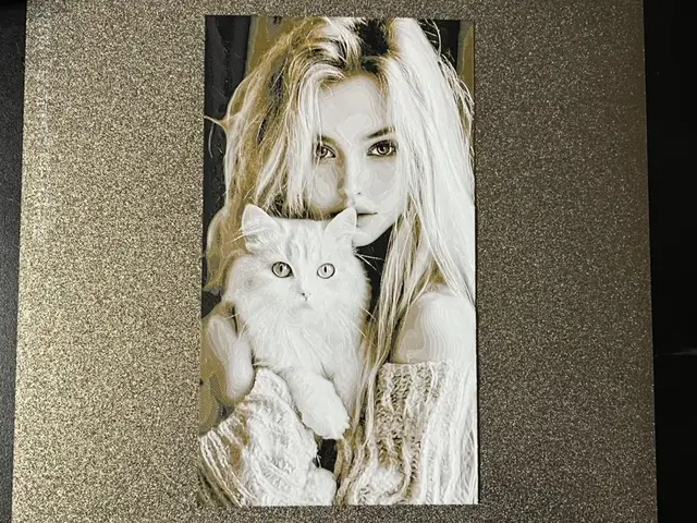 HueForge model: Girl with White Cat Hueforge by FantasyZ