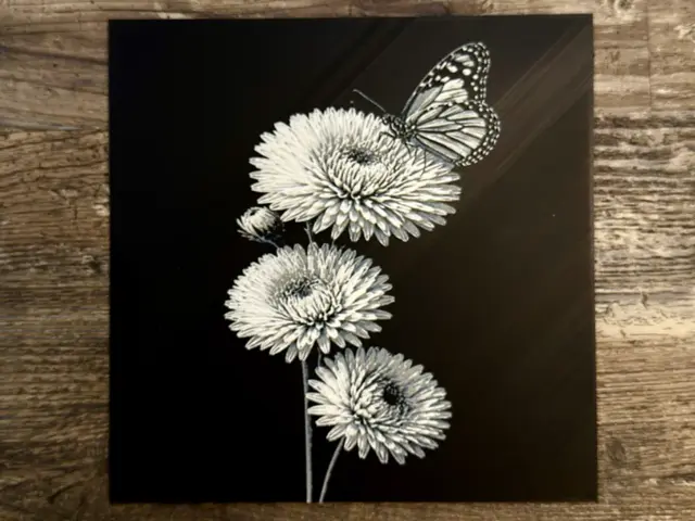 HueForge model: Aster with butterfly Flower Series by novy