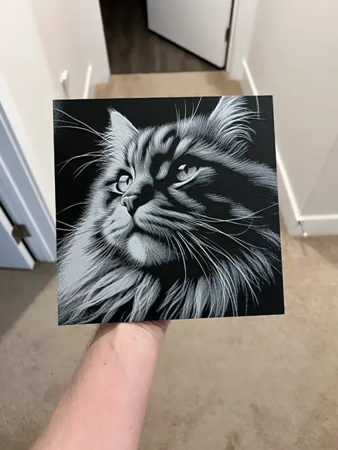 HueForge model: Cat Face Hueforge by RP47 Designs