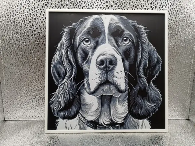 HueForge model: Springer Spaniel – Hueforge by Borishotch Industries