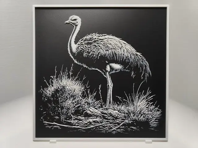 HueForge model: Ostrich - Hueforge by BeaN