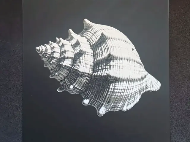 HueForge model: Empty Shell HueForge by fD.667