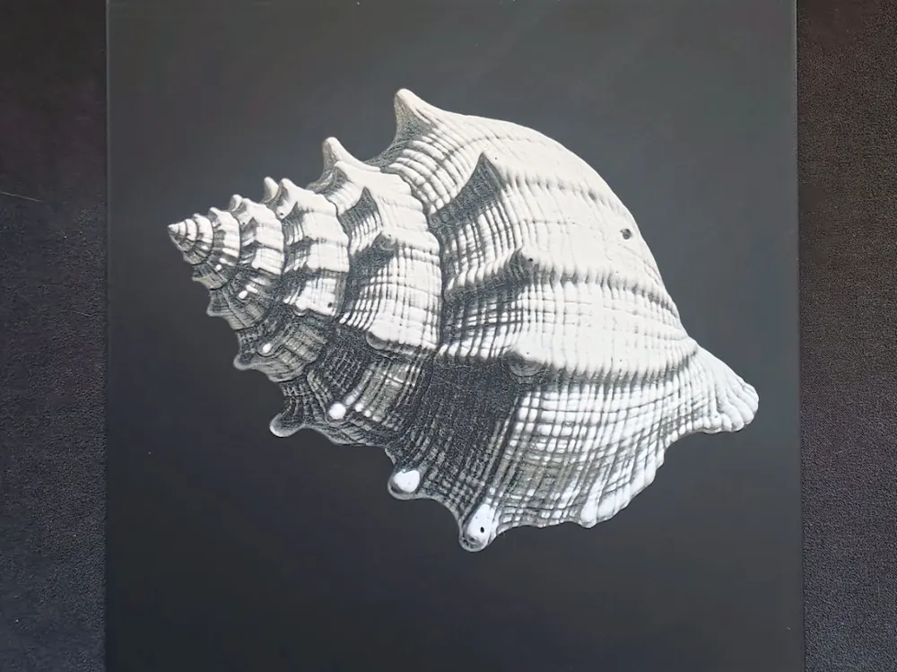 Empty Shell HueForge by fD.667 HueForge model: Empty Shell HueForge by fD.667