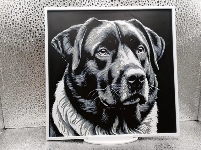 HueForge model: Anatolian Shepherd Dog hueforge by Borishotch Industries