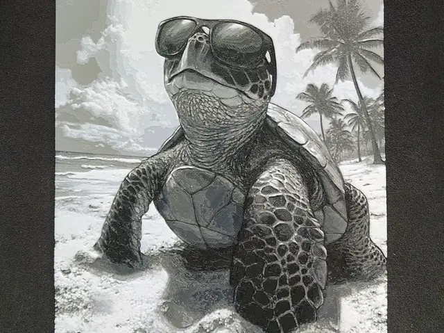 HueForge model: Turtle :) HueForge by fD.667
