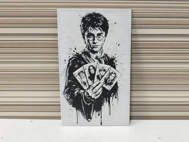 HueForge model: Hueforge Harry Potter by Litolunar