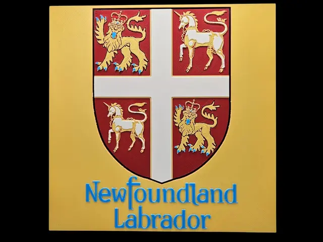 HueForge model: Newfoundland & Labrador by BusyKikiBee