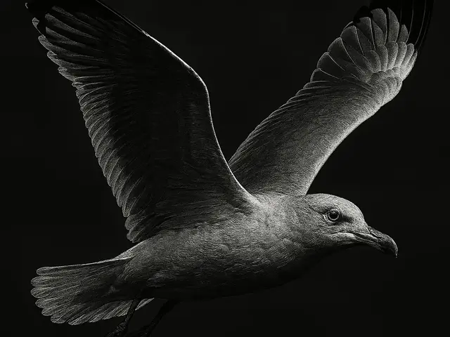 HueForge model: Hueforge Seagull by cterry2000