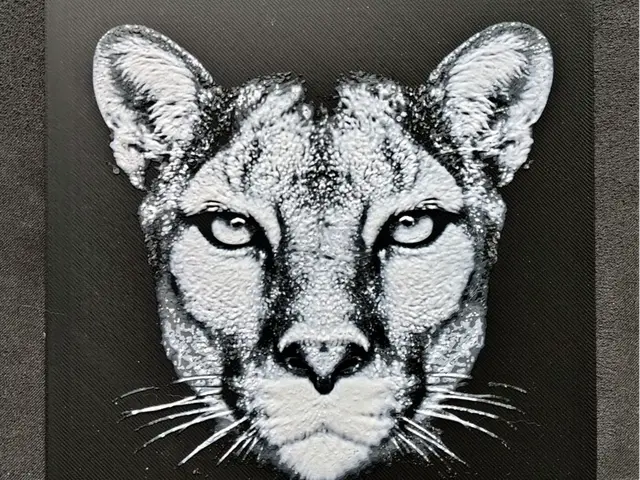 HueForge model: Mountain Lion HueForge by fD.667