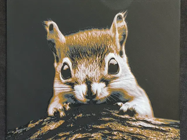 HueForge model: Squirrel HueForge by fD.667