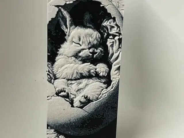 HueForge model: Bunny bookmark by Morganja
