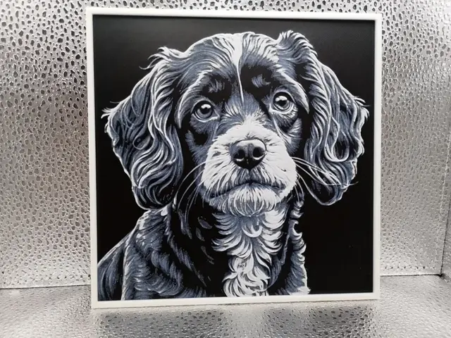 HueForge model: Cavapoo – Hueforge by Borishotch Industries