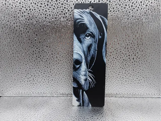 HueForge model: Great Dane Bookmark - Hueforge by Borishotch Industries