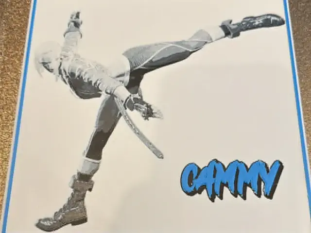 HueForge model: Street Fighter 6 - Cammy Colour Pop Hueforge by IslandLooter