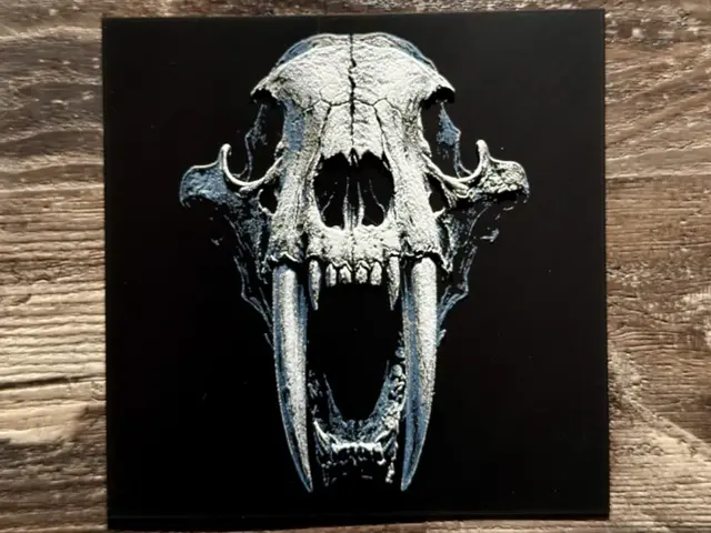 HueForge model: Sabertooth Tiger Skull Series by novy