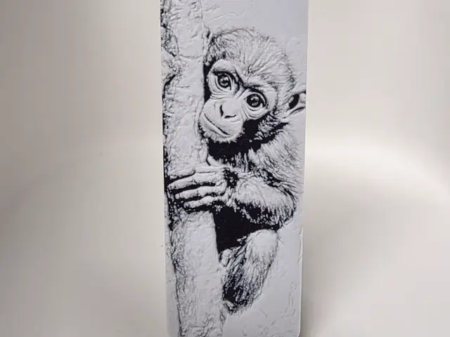HueForge model: Monkey Bookmark by Morganja