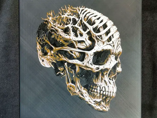 HueForge model: Skull HueForge by fD.667