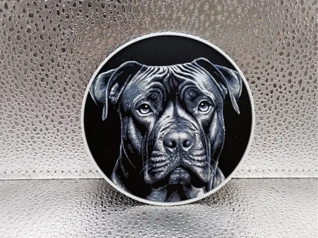 HueForge model: Presa Canario Coaster – Hueforge by Borishotch Industries