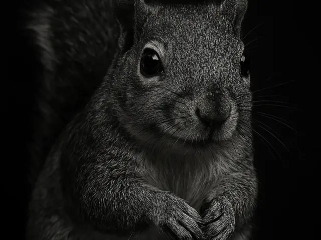 HueForge model: Hueforge Squirrel by cterry2000