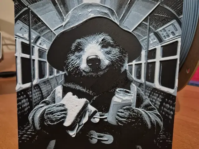 HueForge model: paddington 2 hueforge by Buntsta