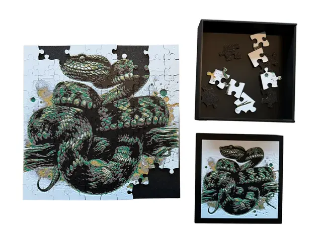 HueForge model: Bush Viper Snake - Puzzle & Box Lid by Canadian Gamer