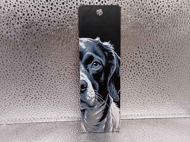 HueForge model: Brittany Spaniel Bookmark – Hueforge by Borishotch Industries