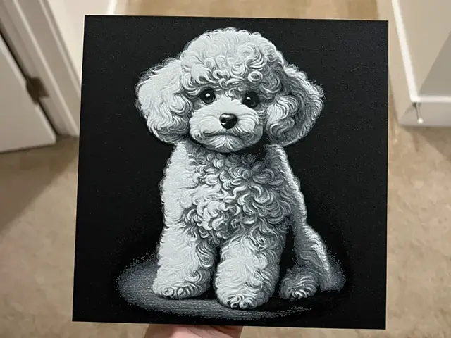 HueForge model: Teacup Poodle Hueforge by RP47 Designs