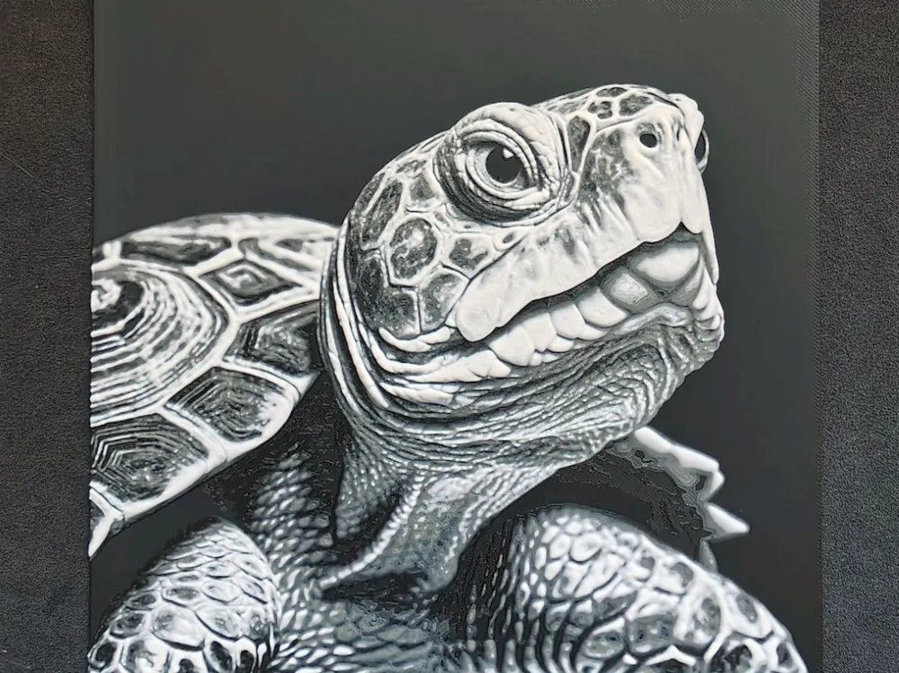 Turtle HueForge by fD.667 HueForge model: Turtle HueForge by fD.667